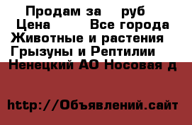 Продам за 50 руб. › Цена ­ 50 - Все города Животные и растения » Грызуны и Рептилии   . Ненецкий АО,Носовая д.